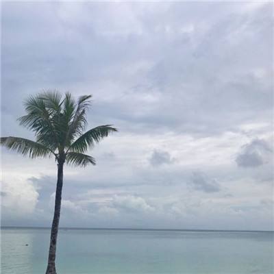 暗黑修仙破解版下载